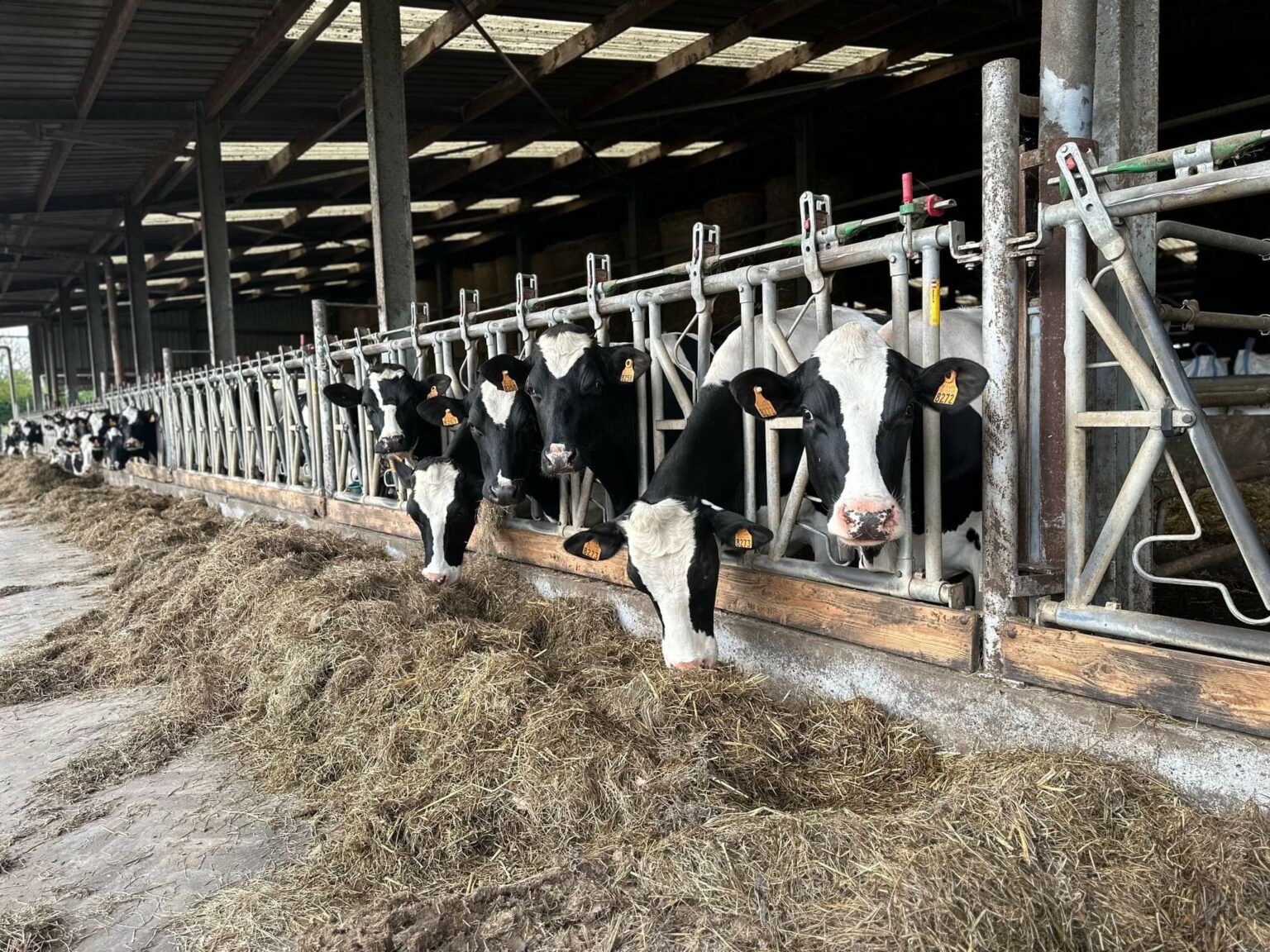 La Ferme Pype - Extérieur